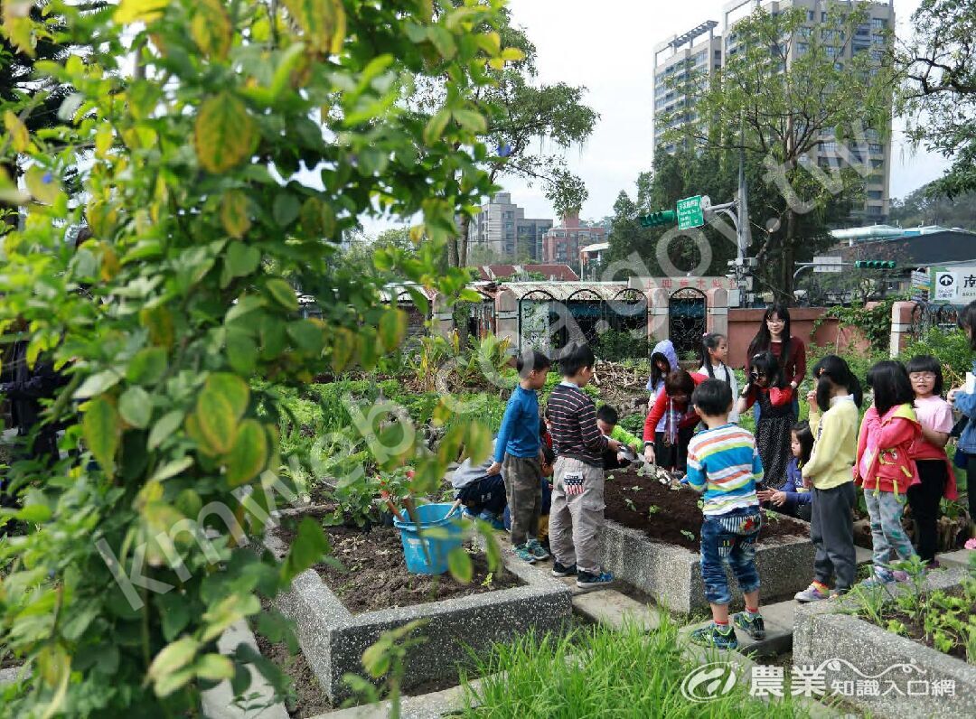 都市裡的開心農場