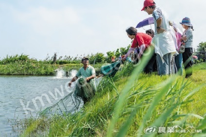 導覽活動可為生態養殖業者帶來業外收入。圖為陳清樟向參訪民眾解說漁具使用方式。