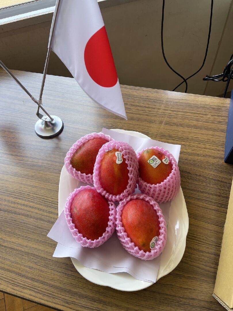 圖片2_臺灣輸日芒果不但外觀精美、風味濃郁並且逐粒黏貼產銷履歷標籤,確保安全可溯源,深受日本消費市場歡迎。 圖片2_臺灣輸日芒果不但外觀精美、風味濃郁並且逐粒黏貼產銷履歷標籤,確保安全可溯源,深受日本消費市場歡迎。