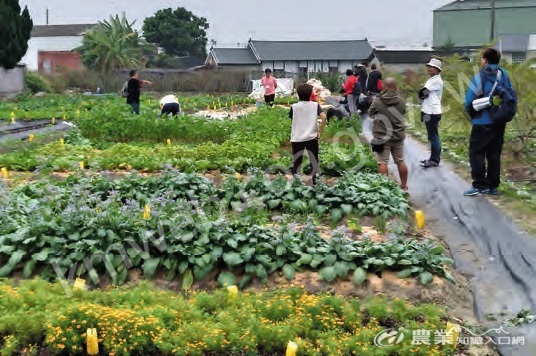 工作坊安排學員參訪講師陳淑慧經營的Me棗居自然農園，有機示範農田種植近30種作物，展現如何多樣化種植。