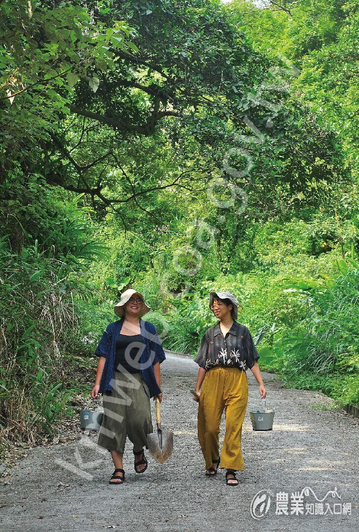 備妥圓鍬、鐵耙、水桶，上山採土去！