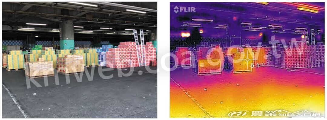 日本大阪果菜市場暫存區，透過紅外線攝影（右），可看出溫度維持在_8°_C_左右。