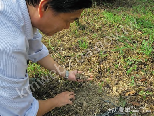 土壤是有機農場的根本，有機農民除了確認土壤是否符合環境保護署《土壤污染管制標準》食用作物農地之重金屬管制標準值，種植過程也應持續確認土壤狀況。