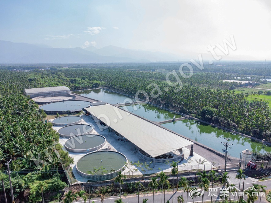 屏東大武山腳下一池、一池清澈的魚苗池，已經打入中國大陸與東南亞市場。