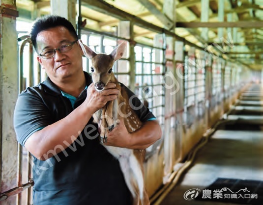 林昆鋒認為，即便面臨國外零關稅產品競爭，臺灣養鹿產業仍大有可為。