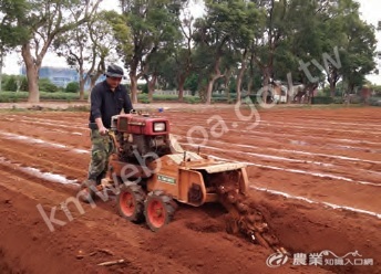 茶苗自動種植機可節省許多人工作業的時間，未來若能搭配生物可分解育苗袋，將可以提高效率。圖片提供／蔡憲宗_(1)