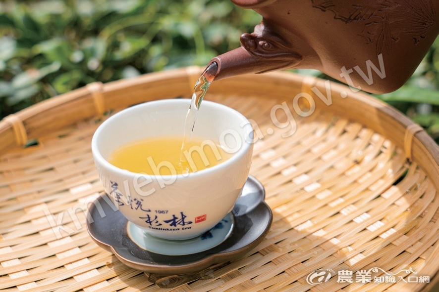 「茶悅杉林」新品牌，圍繞核心思想「識茶、視茶、試茶」。
