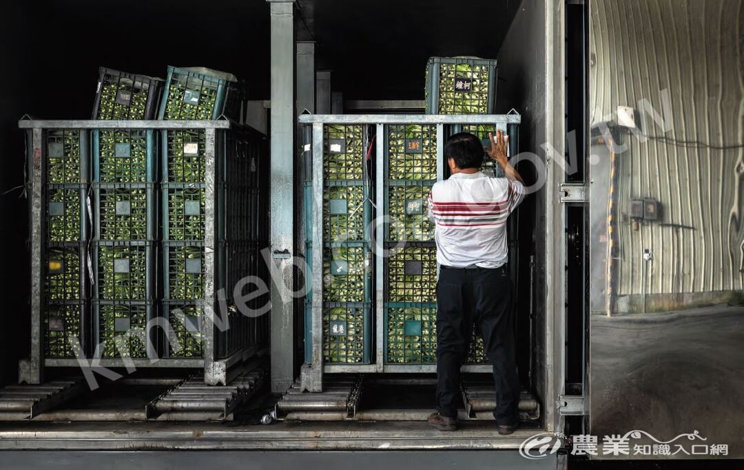 臺灣生鮮蔬果市場越來越重視預冷，尤其超市通路的需求逐步增加，保證責任雲林縣庄西合作農場因此購置真空預冷機，也為其他農民代工。