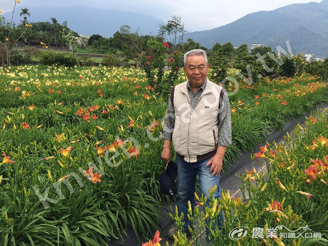 永坤先生用心經營嘉德萱草田，並提供民眾免費入園參觀。