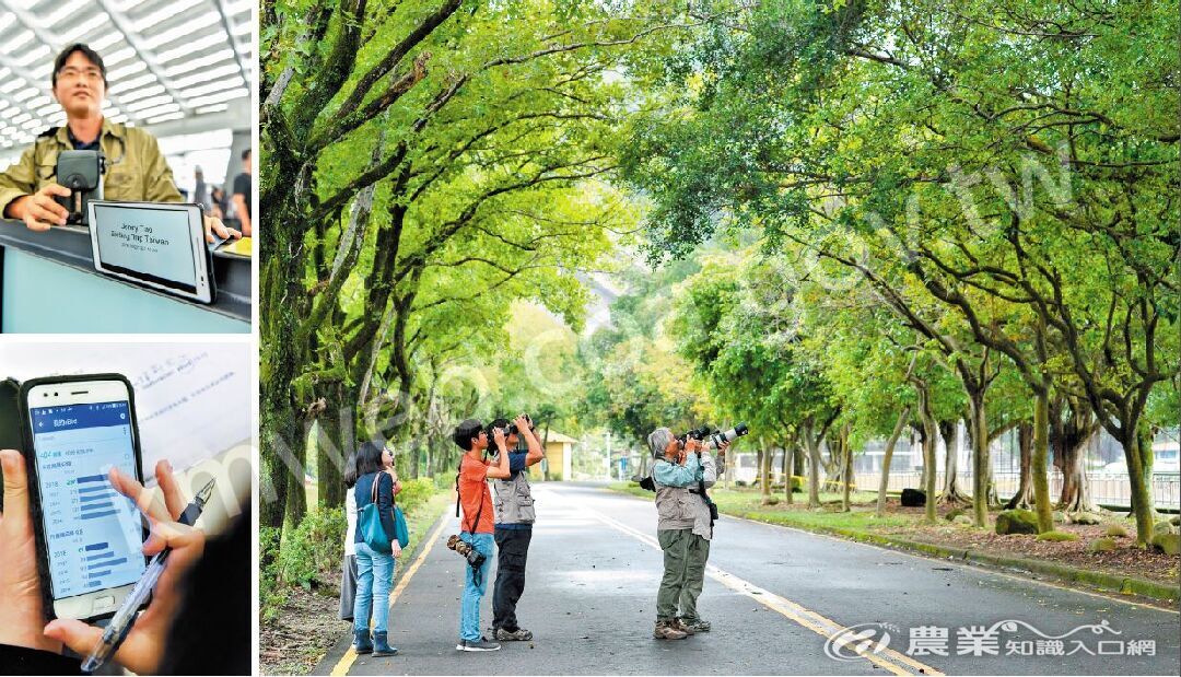 洪貫捷在機場迎接參加賞鳥團的團友。洪貫捷手機軟體內可見到他各年度的鳥種記錄。團員在石門水庫旁的林蔭道上尋找臺灣藍鵲。