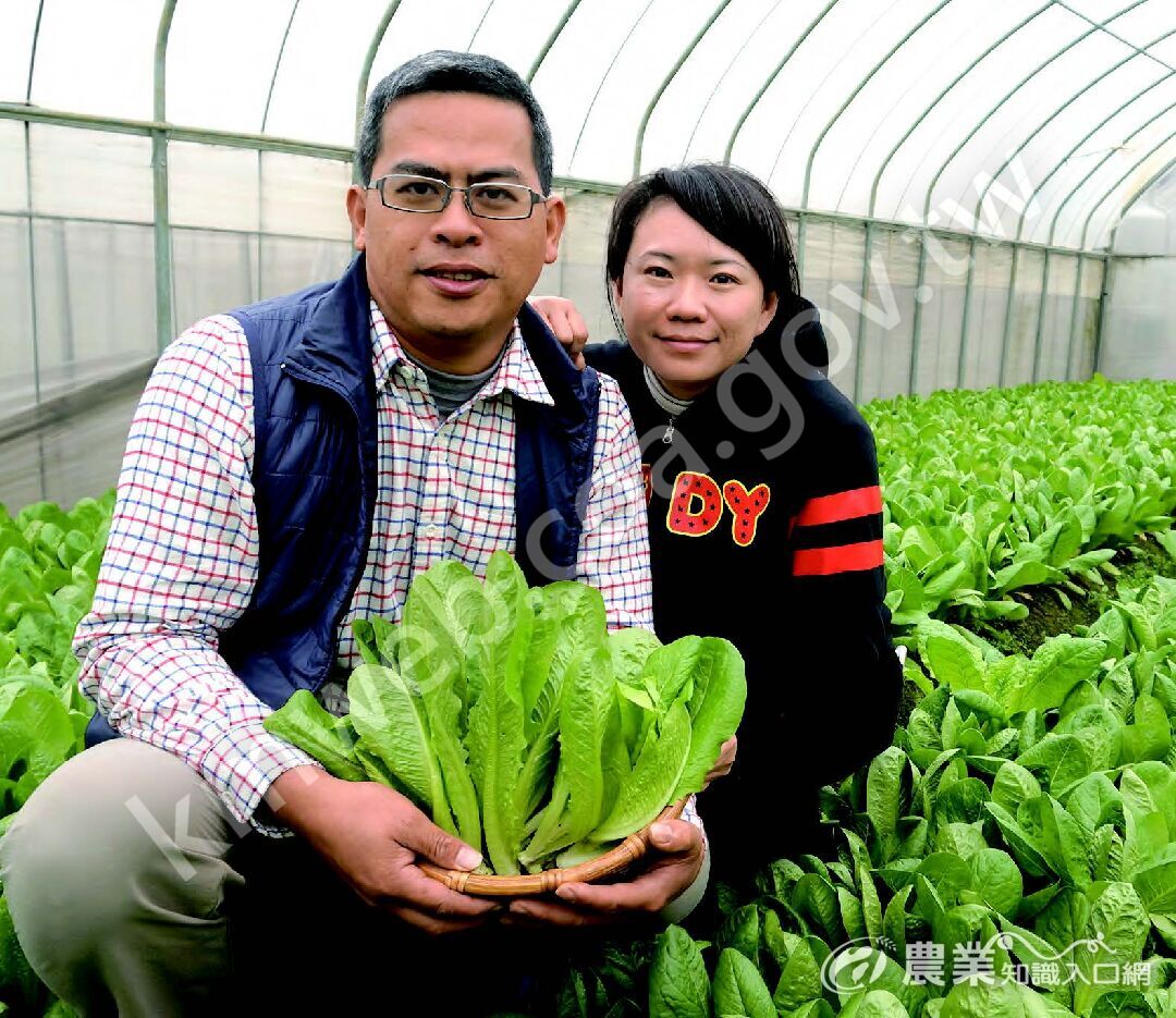 林聖智與黃麗惠經營御圃有機農場，逐漸打開知名度。