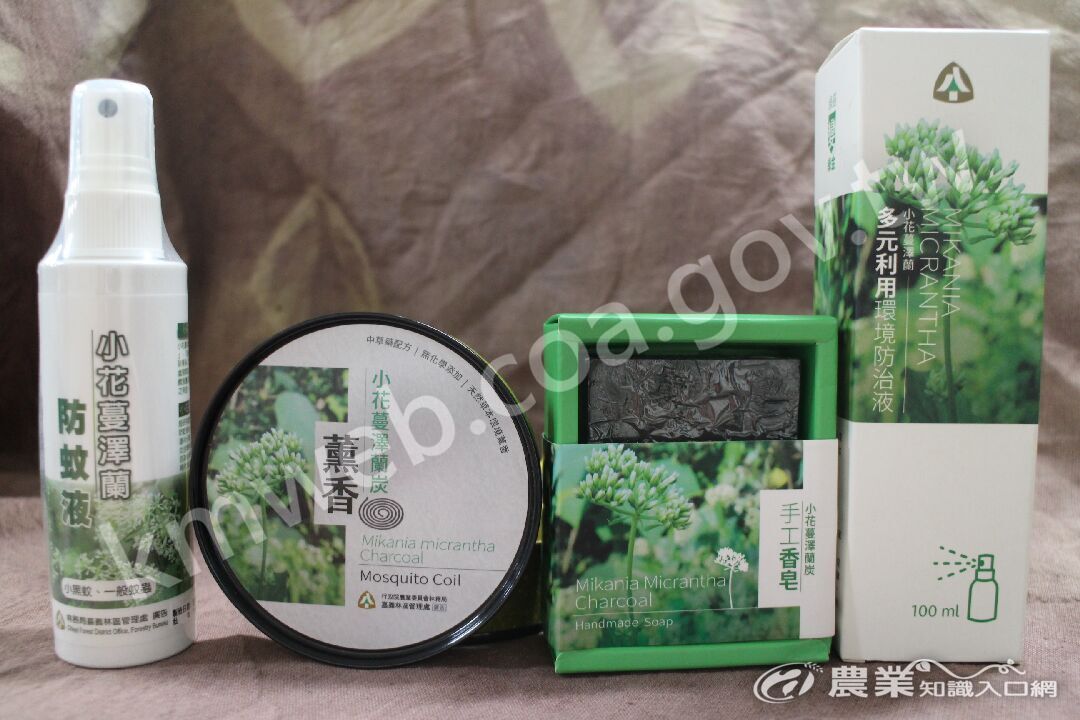 小花蔓澤蘭再利用產品