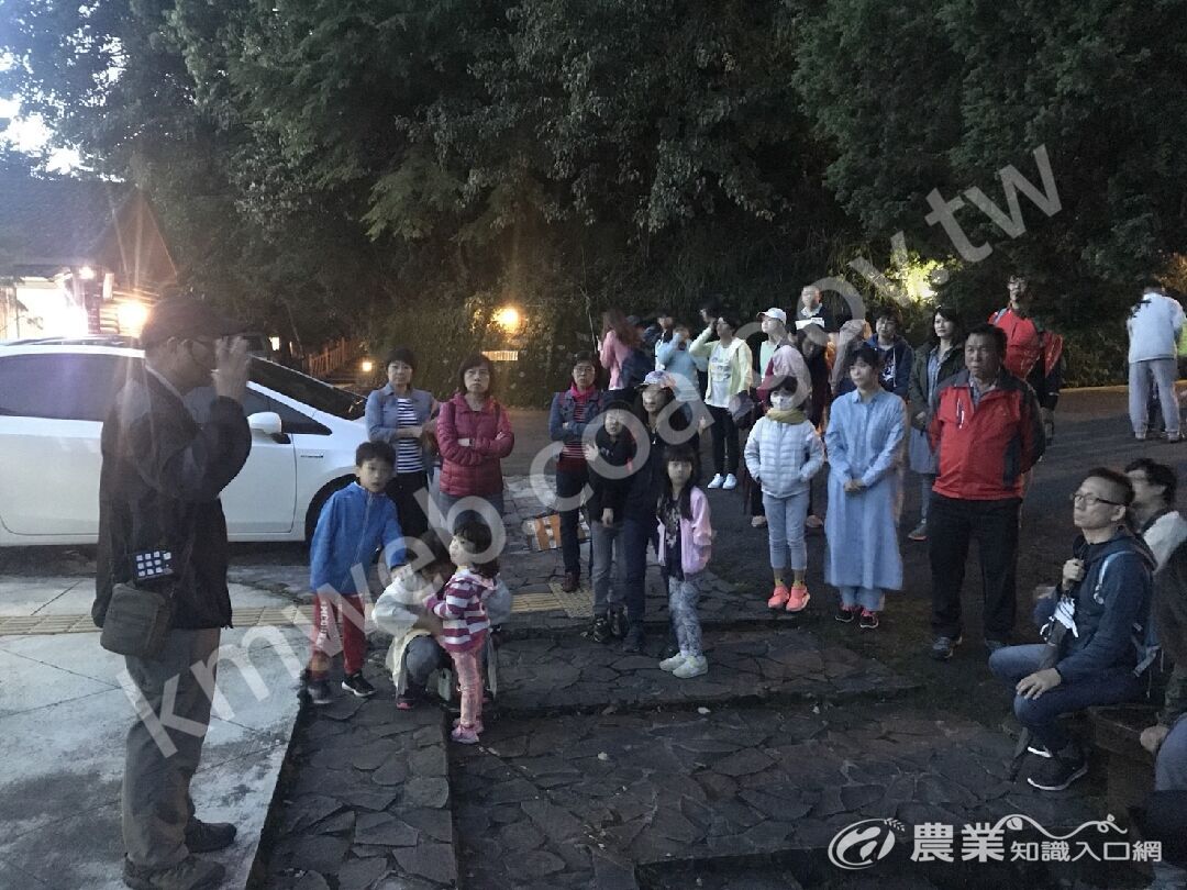 入夜後是野生動物們的天下，讓我們一同與動物相約，認識各式各樣的夜間精靈如山羌、長鬃山羊及白面鼯鼠等。