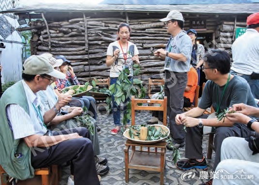 解說員帶領遊客認識賽德克族民族植物運用方式。（圖片提供／社團法人臺灣生態旅遊協會）