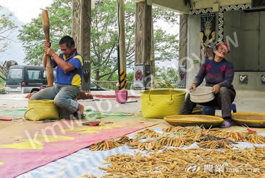 山區聚落常因交通不便、就業機會不多，而成為人口外流的主因，有了產業才有可能把人留在山上。（圖片提供／屏東科技大學森林系社區林業研究室）