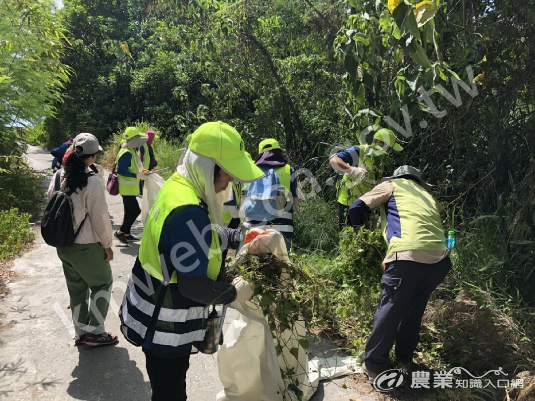 讓垃圾蔓蔓消失_保安林淨灘除蔓公私協力動起來活動照片2