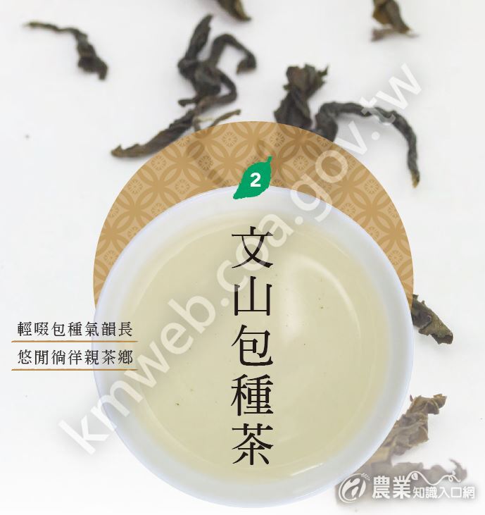 文山包種茶