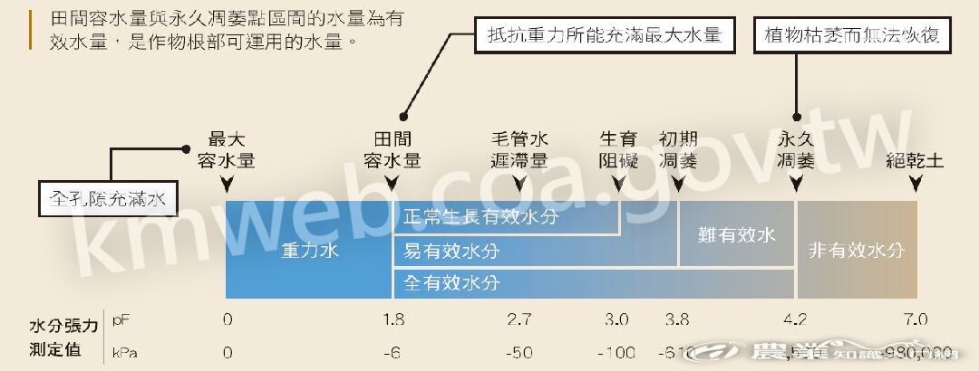 作物從根部吸水與土壤含水量關係