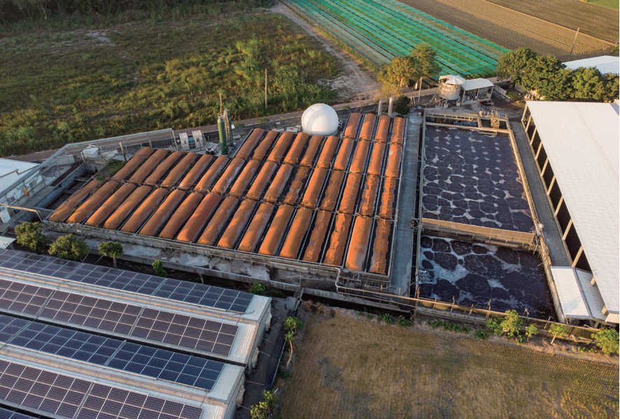 不僅養無毒豬，洪崇拼還利用沼氣發電與太陽能發電，期望永續經營。