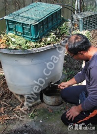 林忠池收集農場賣相較差作物、菜葉製作液肥，讓資源循環利用。（攝影／林書帆）