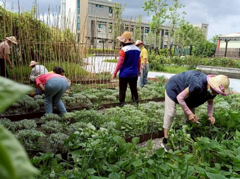 融入食農體驗教育的可食地景花園,是社區綠療育活動的基地。 融入食農體驗教育的可食地景花園,是社區綠療育活動的基地。