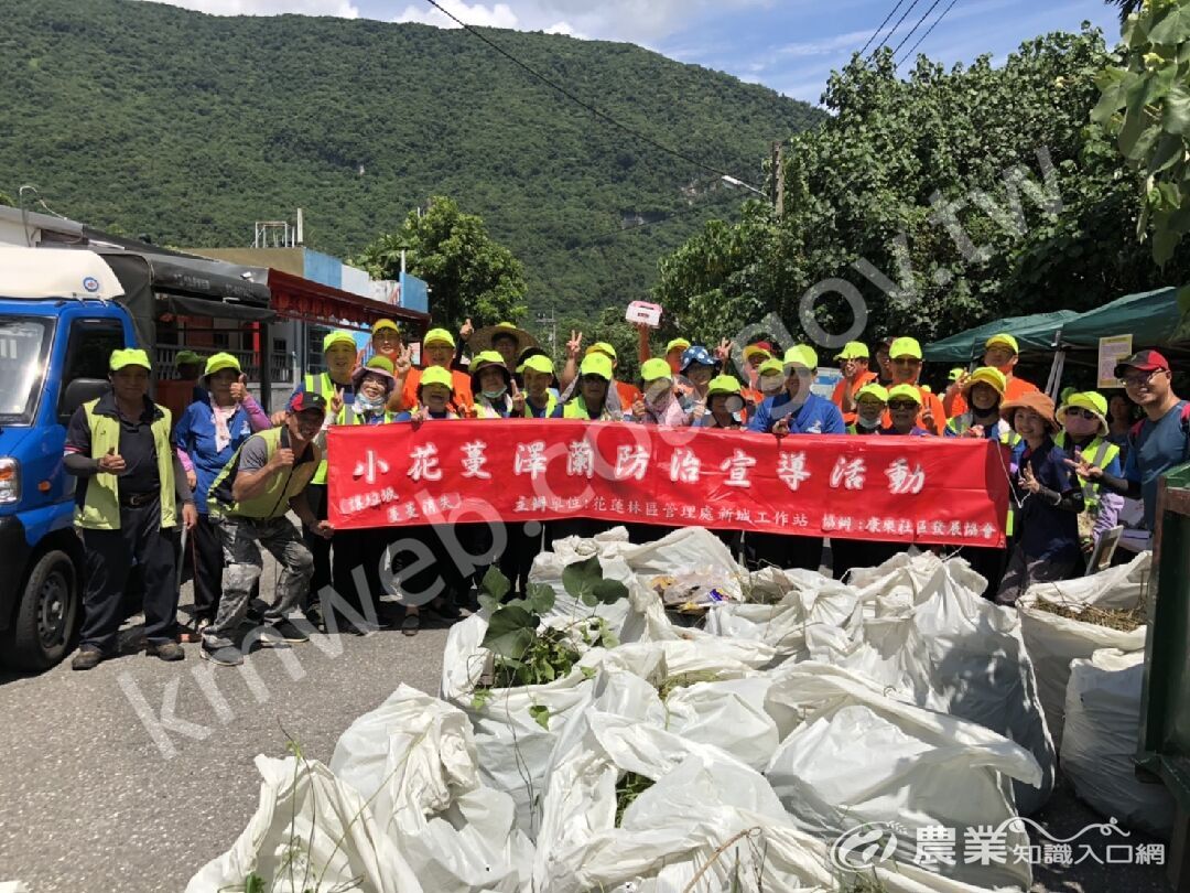 讓垃圾蔓蔓消失_保安林淨灘除蔓公私協力動起來活動照片1