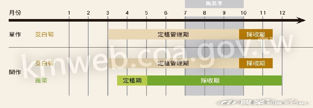 茭蕹間作栽培管理作業曆