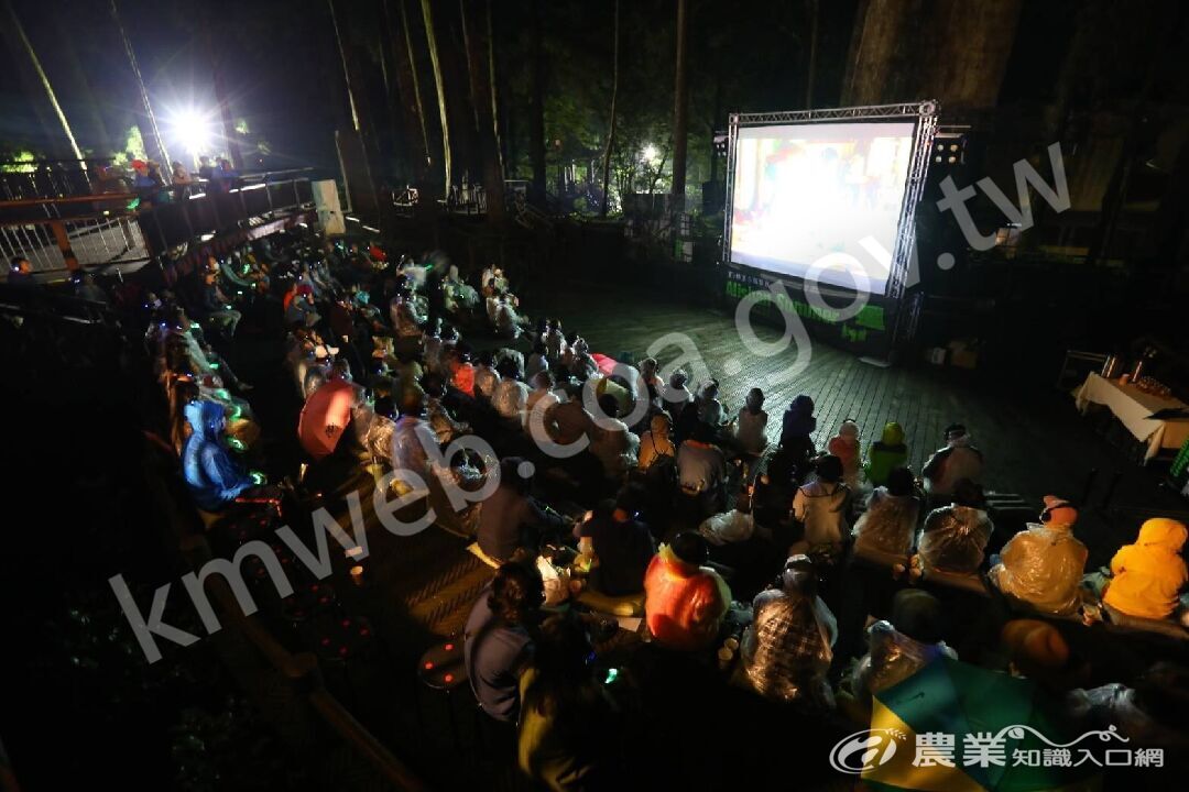 星空神木陪你一起看電影