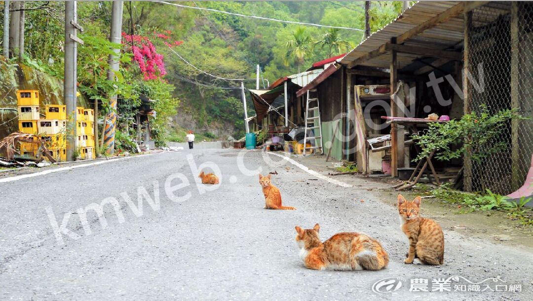 暫停風景