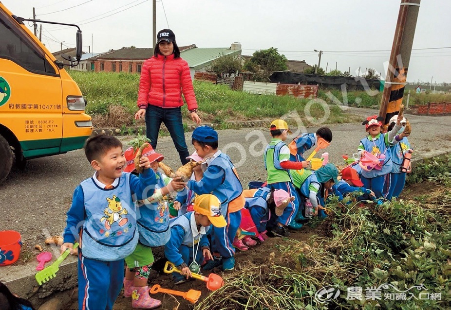 阿甘薯叔舉辦小農夫體驗活動，讓幼稚園的孩子在田間尋寶、挖甘藷，讓他們回到產地，認識餐桌上的食物。（圖片提供／阿甘薯叔）