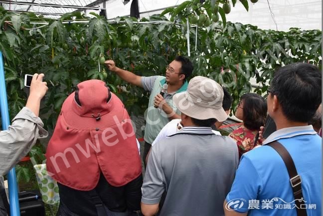 高雄場自107_年開始輔導轄區農友生產優質春季早收百香果