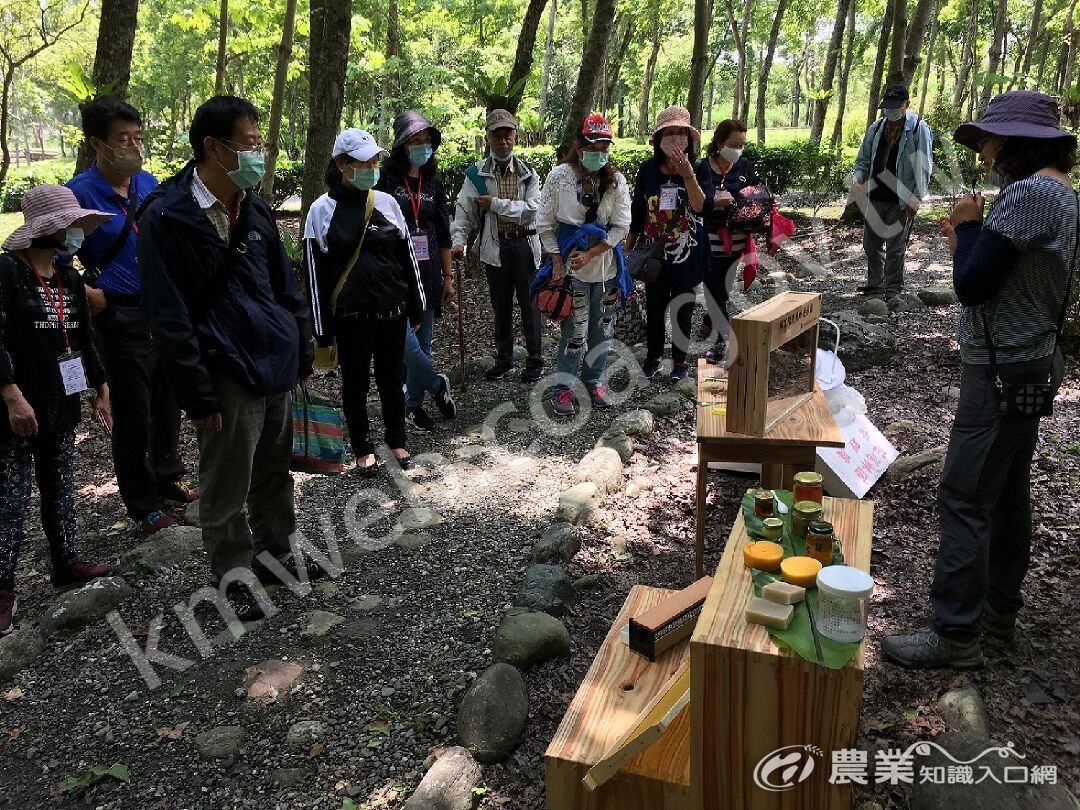 解說蜂群生態及蜂產品