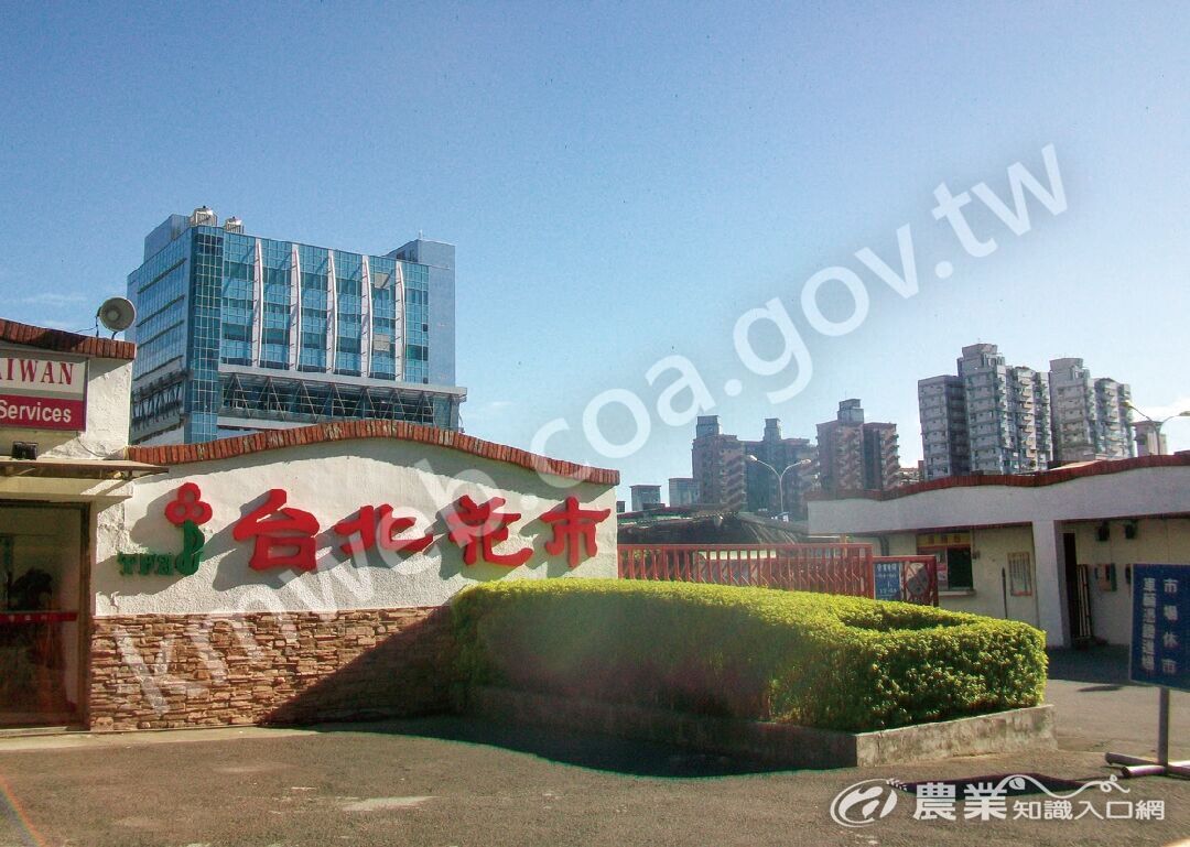 台北花市為全臺最具規模與歷史的花卉拍賣市場。