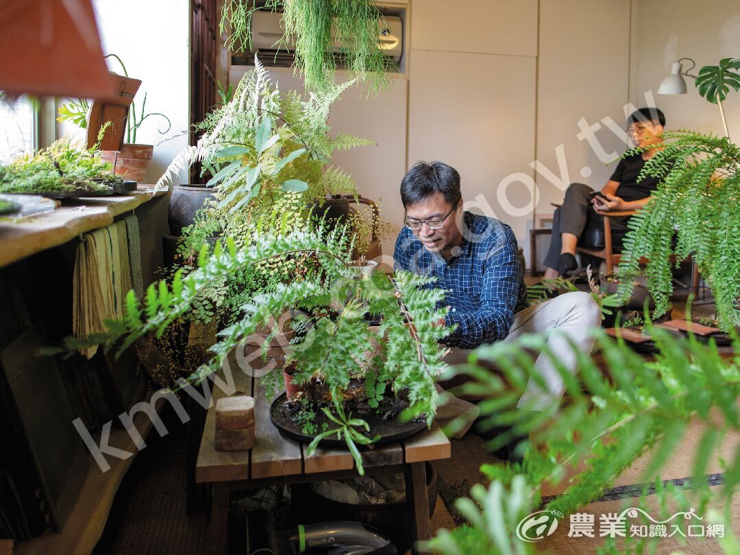 黃凱新（左）與陳盈儒（右）因植物結緣，兩人都喜歡在家中打造一方綠意。