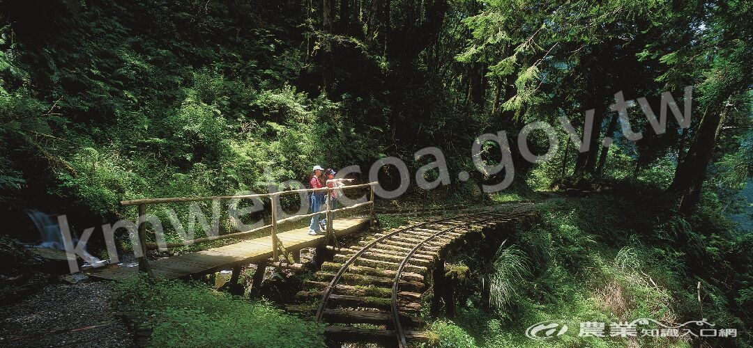 太平山見晴懷古步道