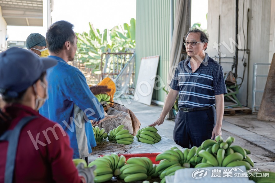 「藝隆農產」和小型農戶契作，結合智慧科技，打響「臺灣蕉」名號。