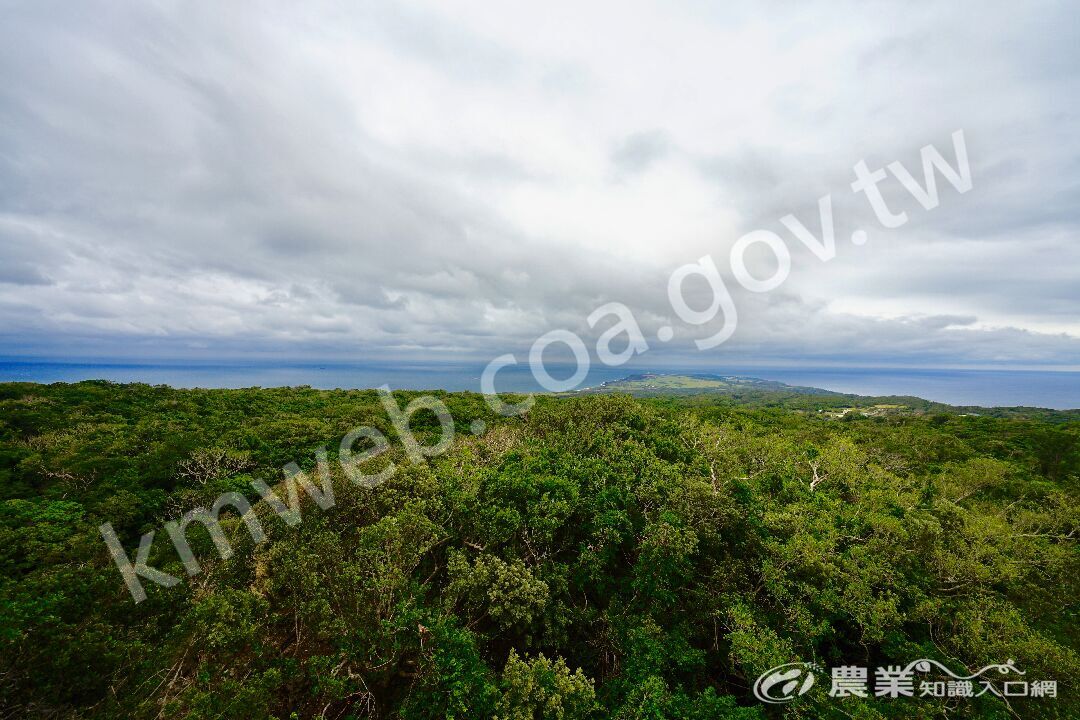 觀海樓頂景色(攝影-莊哲瑋）