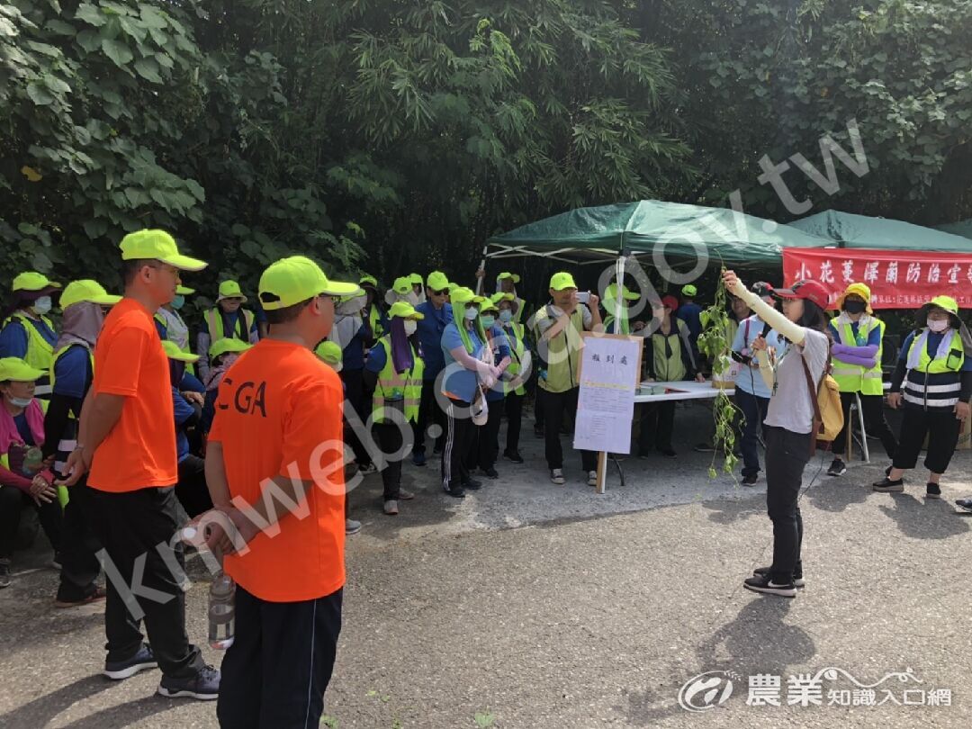 讓垃圾蔓蔓消失_保安林淨灘除蔓公私協力動起來活動照片3 讓垃圾蔓蔓消失_保安林淨灘除蔓公私協力動起來活動照片3