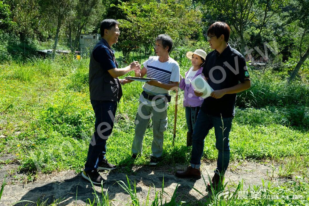 水保服務到你家_厚你山上種田攏免驚