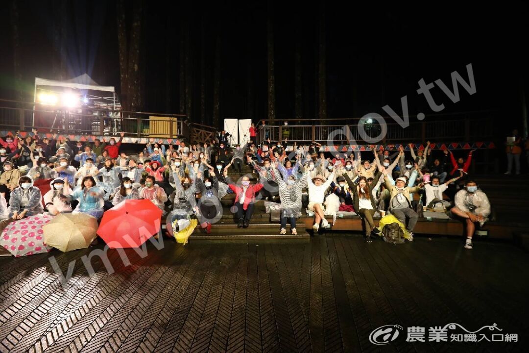 阿里山仲夏電影夜