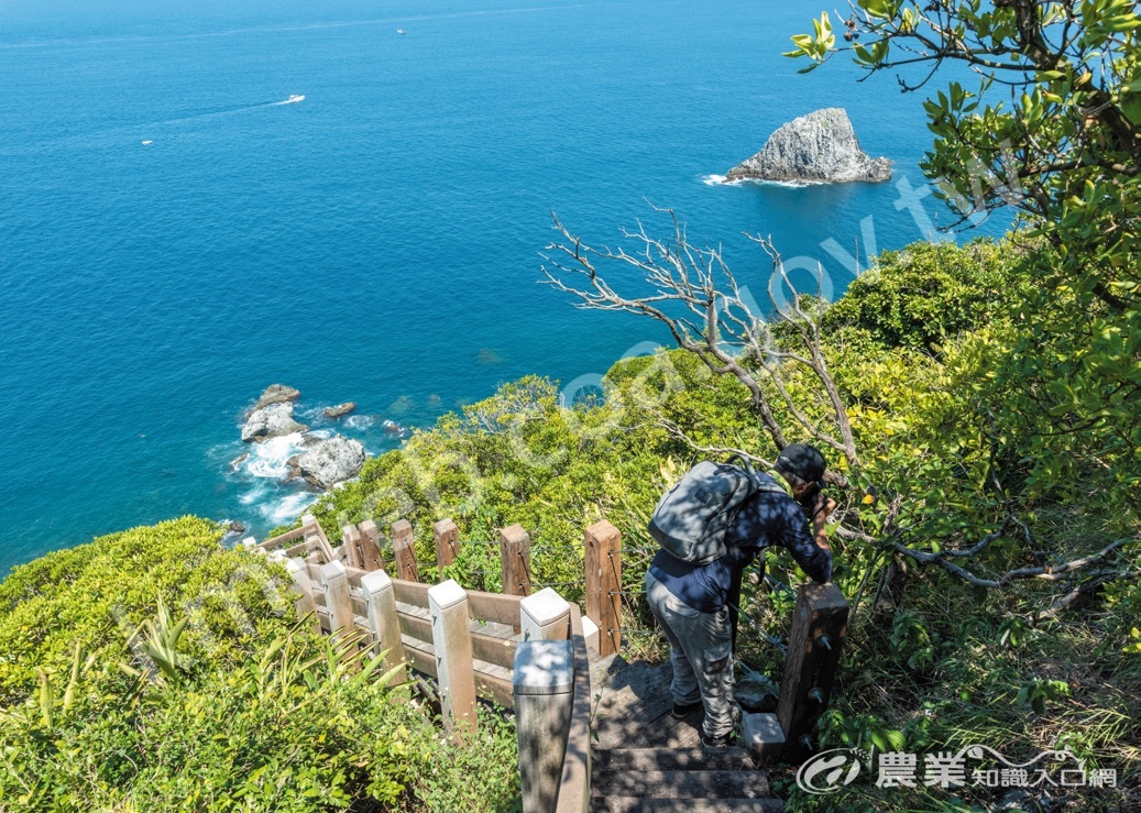 沿著登山步道行走，隨處可見相當多植物，最頂端矗立著基隆島燈塔。