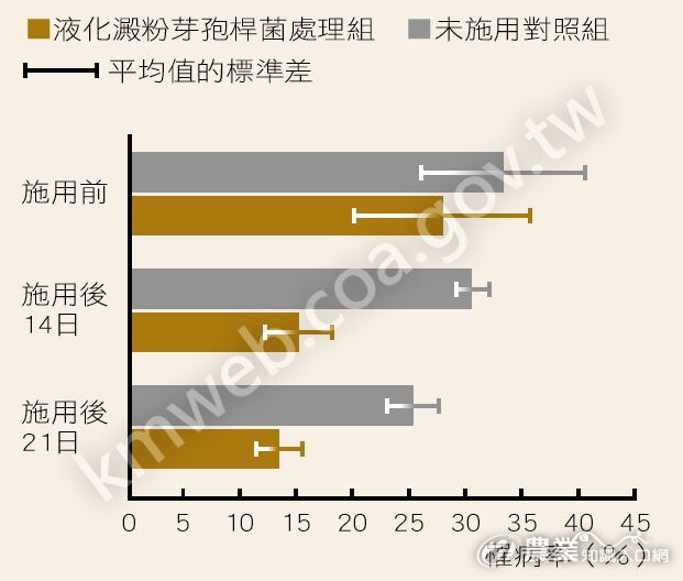 液化澱粉芽孢桿菌施用後葉稻熱病罹病率