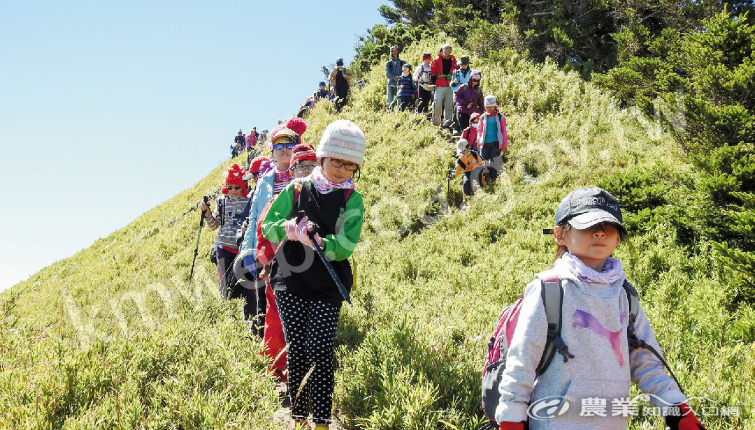 攀登合歡山是華南國小每年的主要活動。（圖片提供／華南國小）