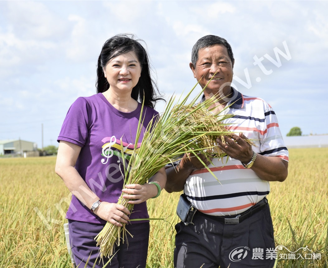 稻作豐收，黃麗貞總幹事與章居旺班長滿臉欣喜。