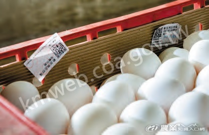 為管理雞蛋流向，行政院農業委員會2015_年推動散裝雞蛋溯源標示管理制度，但至今仍有溯源未落實而難以追查的問題。