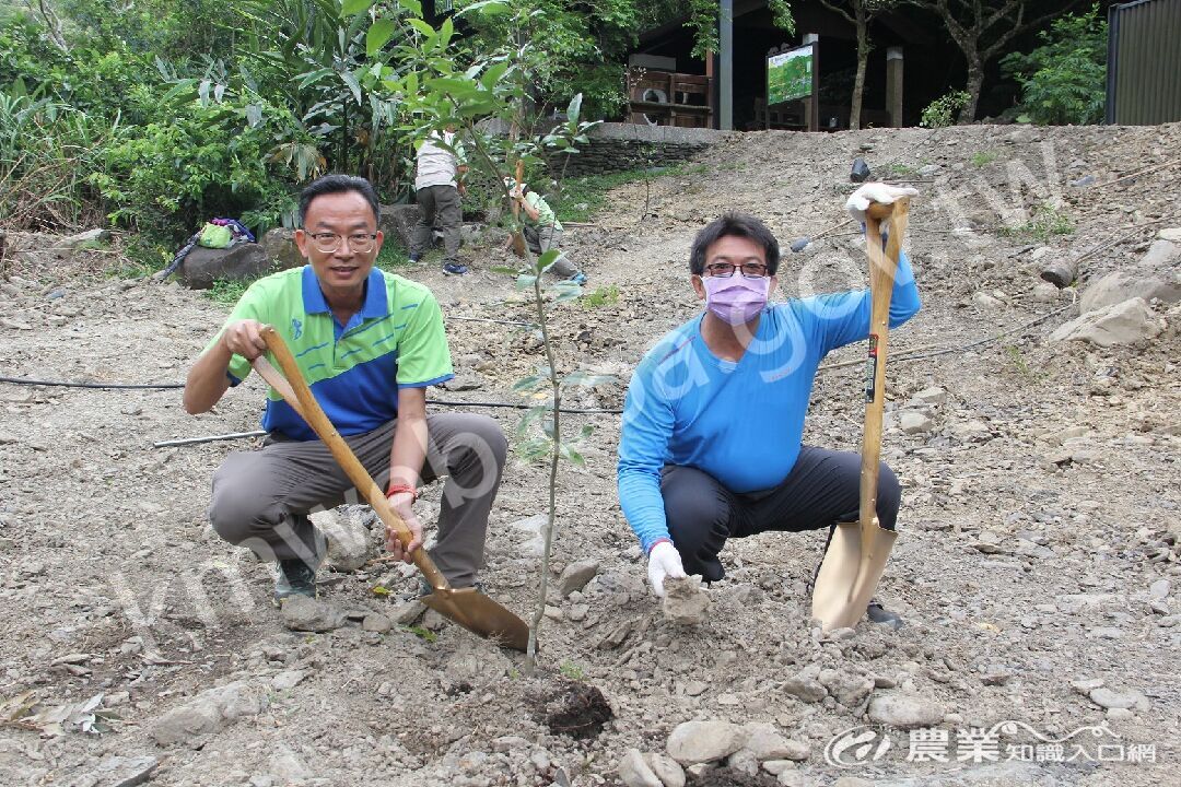 處長與同仁共同手植原生樹種 處長與同仁共同手植原生樹種