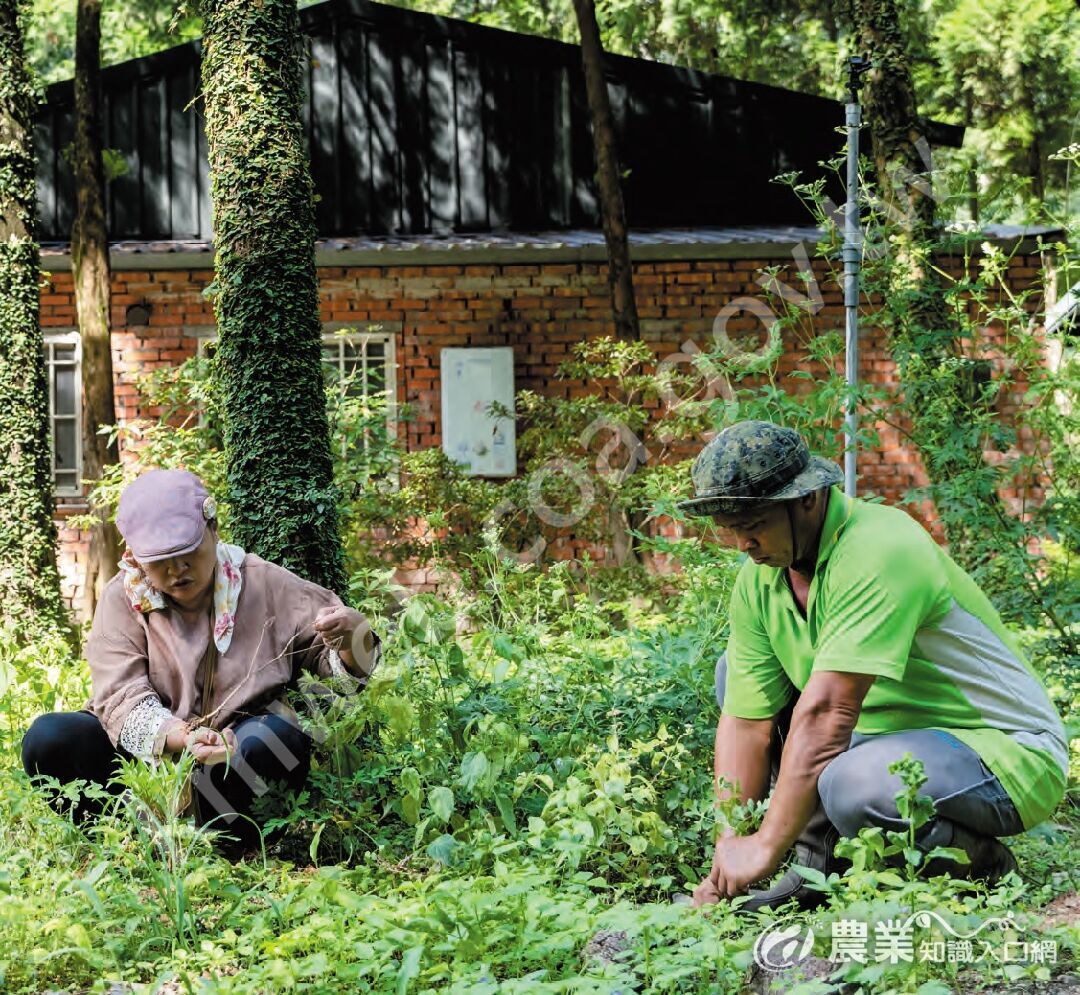 在農牧用地上，農民可以較彈性地經營森林環境，但因造林為林業用地主要使用目的，因此若要經營森林副產物，仍會受法律規範。