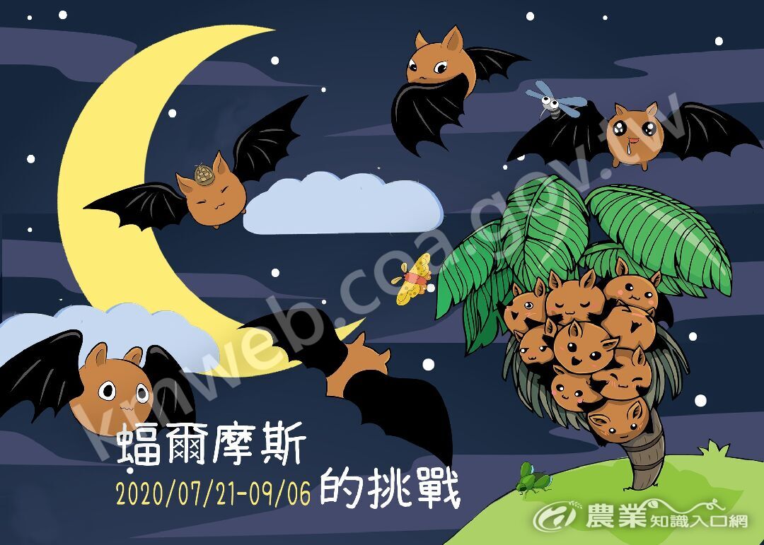 「蝠爾摩斯的挑戰」夏季活動海報