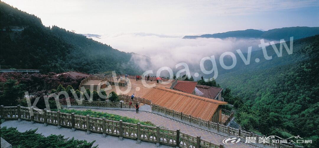太平山森林遊樂區內一景