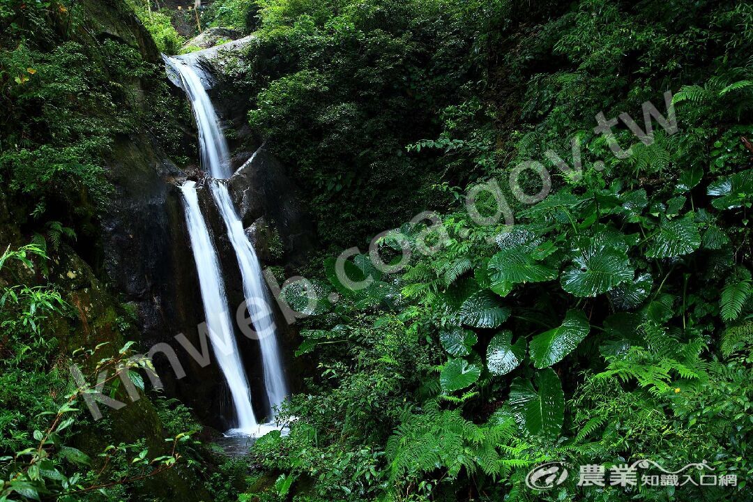 奧萬大國家森林遊樂區雙瀑